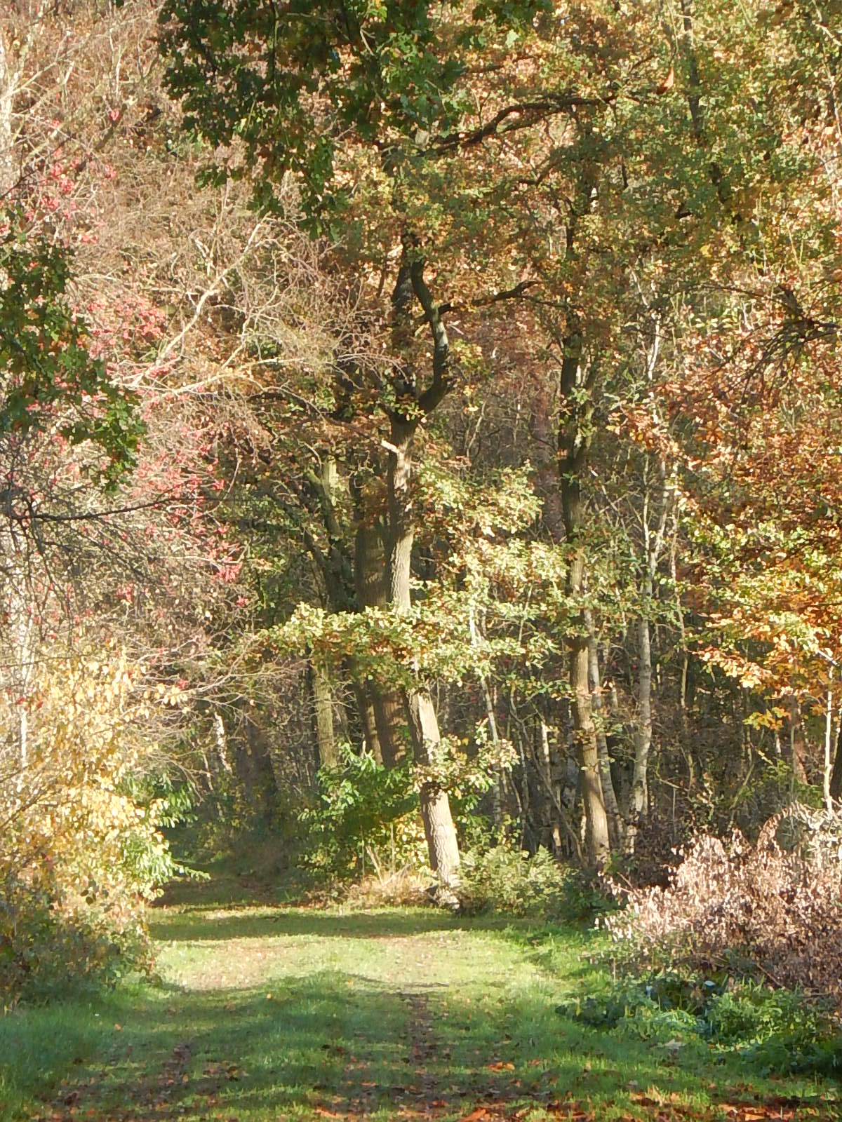 dscn1654