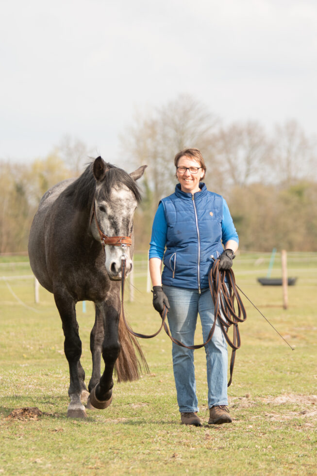 nelli-prinzip - tiergestützte intervention - coaching-reitunterricht- kommunikationstraining-niedersachsen-tiere-rinder-pferde (71)