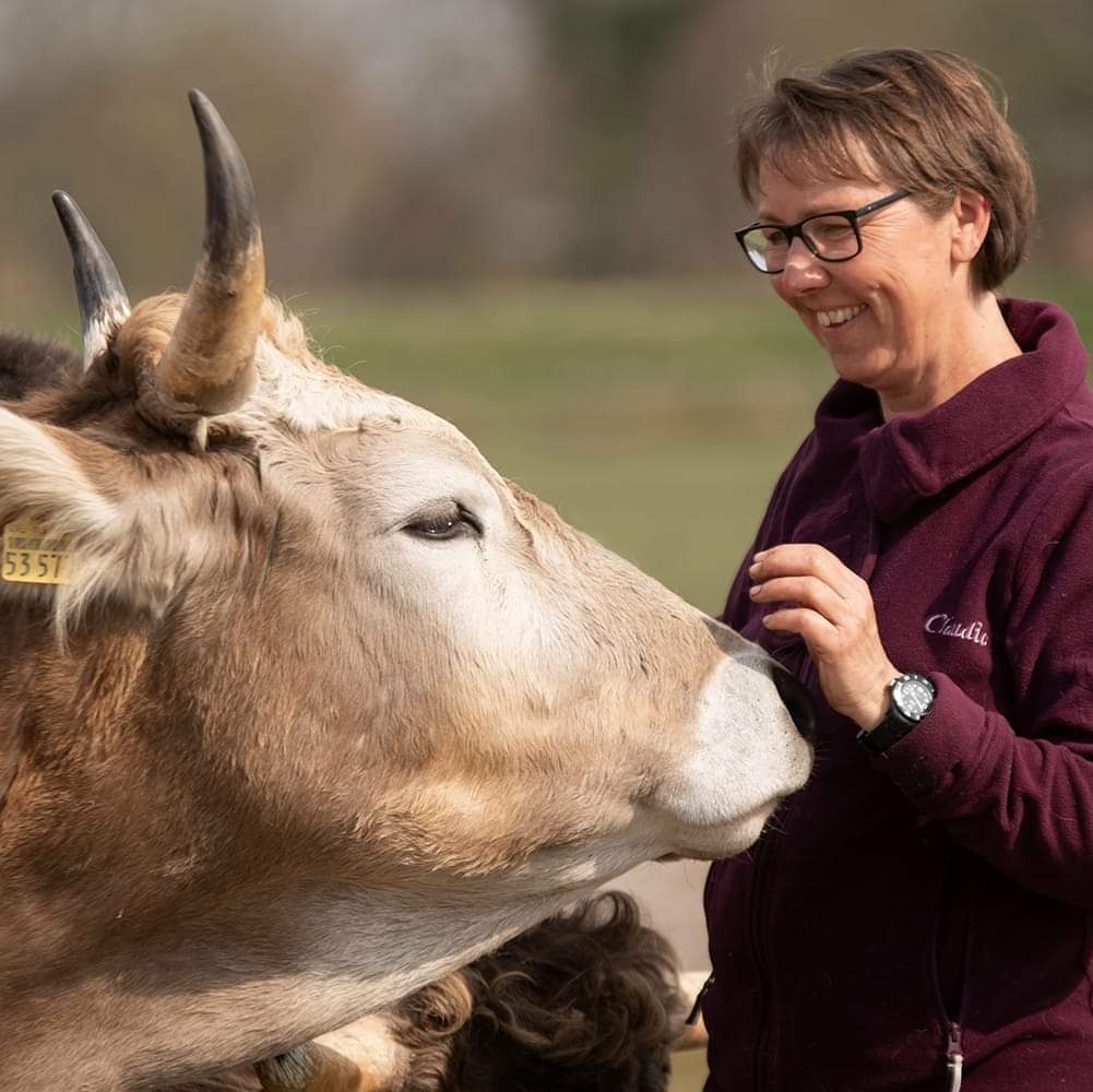 nelli-prinzip - tiergestützte intervention - coaching-reitunterricht- kommunikationstraining-niedersachsen-tiere-rinder-pferde (87)